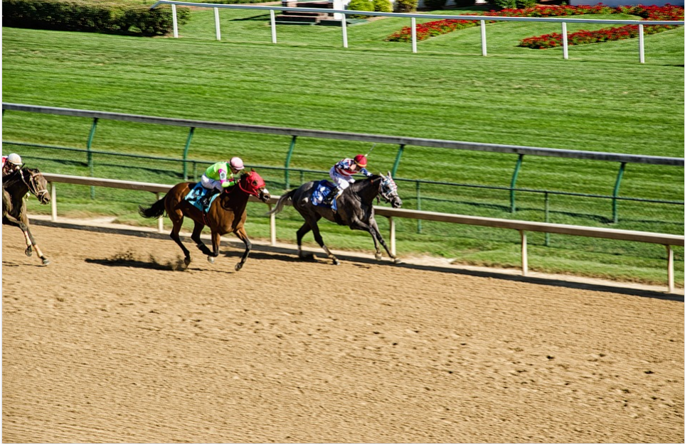 Current Betting Odds of Top Horses for the Kentucky Derby 2021