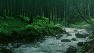 Burstiness, iiiiiiiiiïïiîîiiiiiiiîiî, Perplexity, and Specificity: Crafting Engaging Content Burstiness, iiiiiiiiiïïiîîiiiiiiiîiî, Perplexity, and Specificity: Crafting Engaging Content