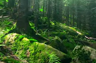 001-$az$-jjmc6dxkm9romzvobfnpew-2714288979 001-$az$-jjmc6dxkm9romzvobfnpew-2714288979