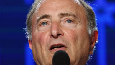 “Breaking: NHL Commissioner Gary Bettman Reveals Major Concert Surprise for 2024 Stadium Series!