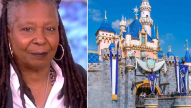 Whoopi Goldberg Jaw-Dropping Surprise at Disneyland Leaves Fans in Tears! You Won’t Believe How She Made Her Mom’s Dream Come True!”