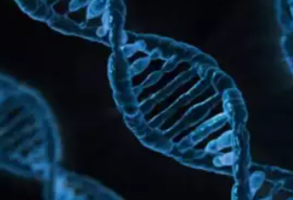 “Chinese Scientists Unveil Groundbreaking Autism Reversal Injection – A Game-Changer for Neurodevelopmental Disorders!”