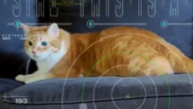 “NASA Shocks the World: Sending HD Cat Video from Deep Space!