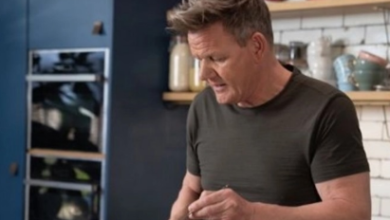 Culinary Luxury Unleashed: HexClad Presidents’ Day Sale Offers Celebrity-Approved Cookware at Unbeatable Prices” Culinary Luxury Unleashed: HexClad Presidents’ Day Sale Offers Celebrity-Approved Cookware at Unbeatable Prices”