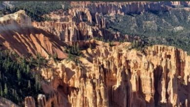 “Utah Unveiled: A Grand Odyssey through Magnificent Landscapes and National Parks”