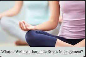 Navigating Wellhealthorganic Stress Management: Your Complete Stress Management Companion