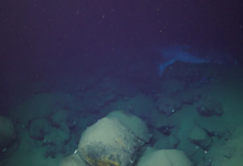 “Unveiling the Impact: Lau Basin How a Volcanic Eruption Transformed Deep-Sea Ecosystems”