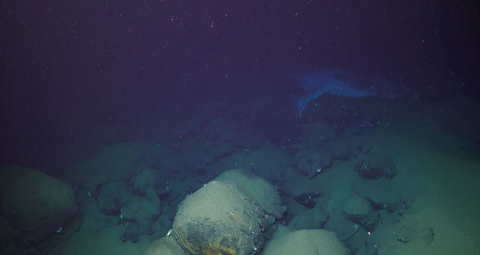 “Unveiling the Impact: Lau Basin How a Volcanic Eruption Transformed Deep-Sea Ecosystems”